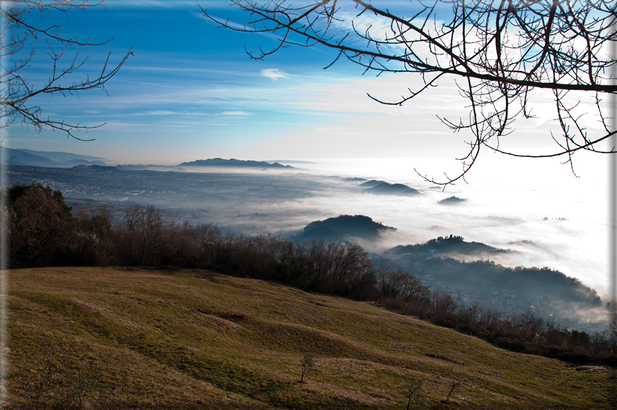 foto Colline di Romano d'Ezzelino nella Nebbia